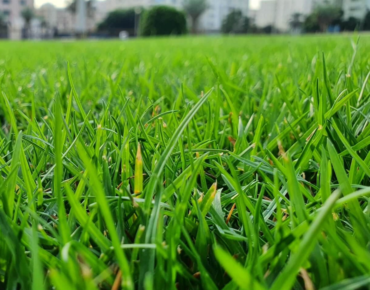 79-year-old fired as landscape company manager wins $200,000 in age discrimination suit