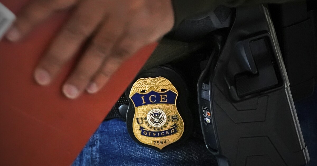 Lawyers say that ICE has deported the mother of a baby and a 2-year-old who is a US citizen