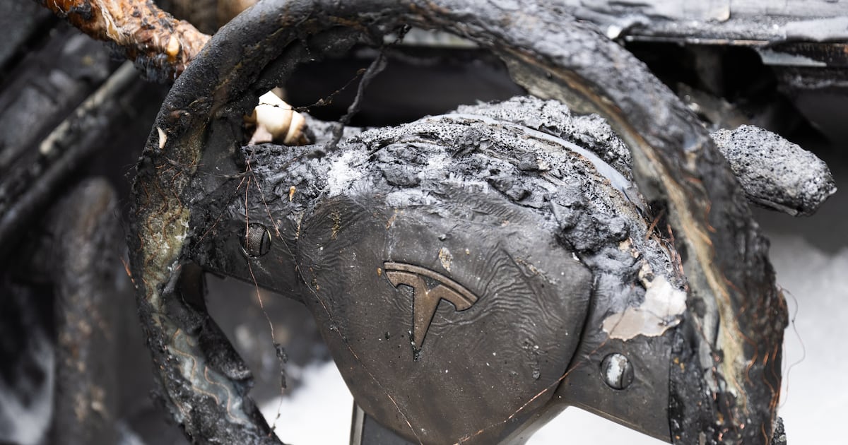 MAGA DA U-Turns on Alleged ‘Domestic Terrorist’ Tesla Vandal