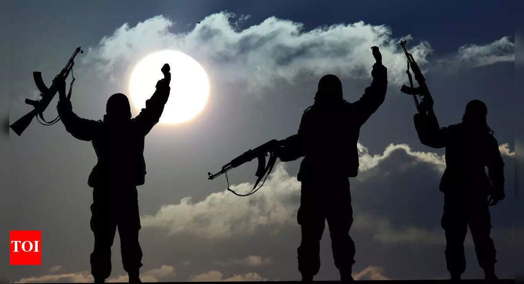 Terrorism Is Prohobited In Islam – The Times of India