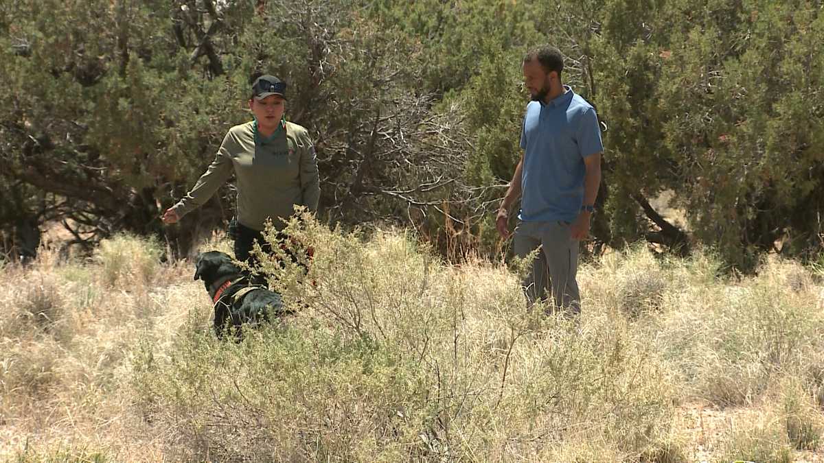 4Corners K9 Search and Rescue assisting families looking for missing loved one