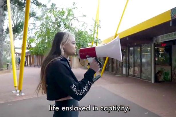 Animal rights activist 'Vegan Booty' declares bankruptcy after years of racy content funding extreme protests