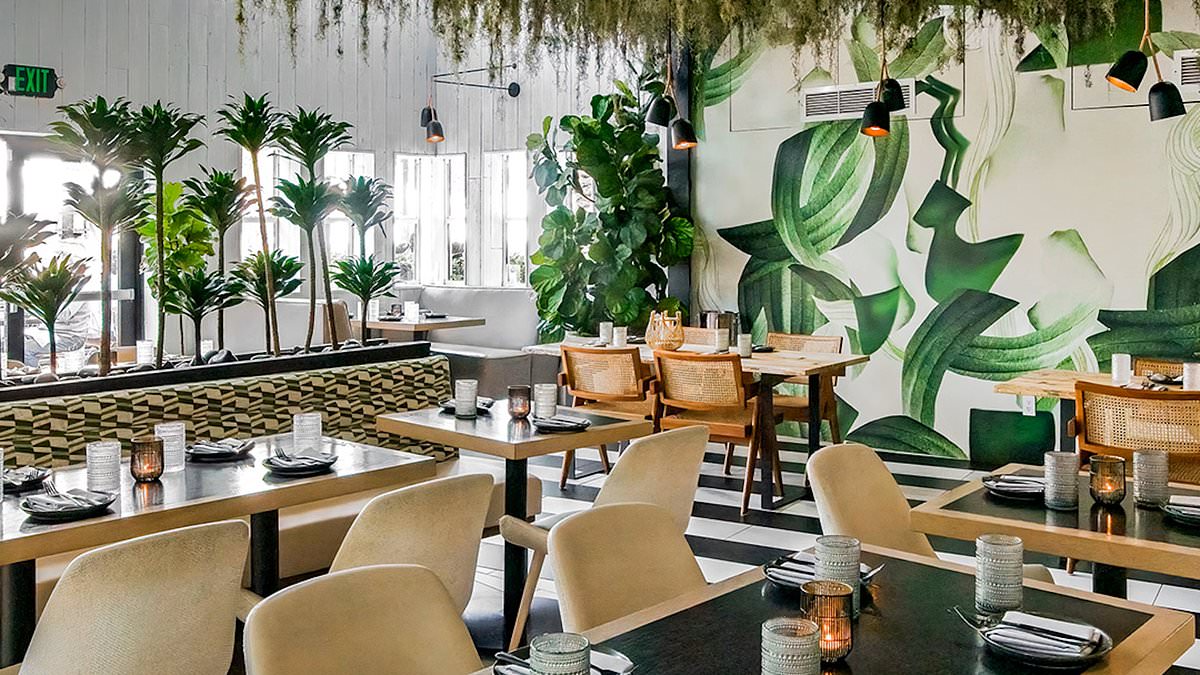 Celebrity hotspot turned restaurant chain files for bankruptcy