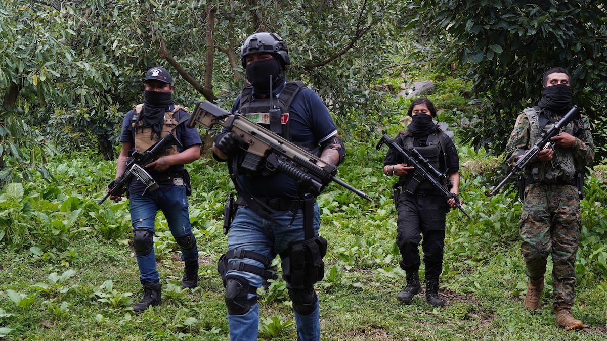 DEA warns of a possible alliance between Los Chapitos and the Jalisco New Generation Cartel