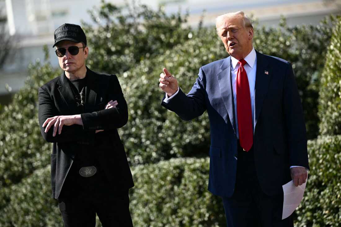 President Trump and his adviser Elon Musk speak to the press on March 11 in Washington, D.C.