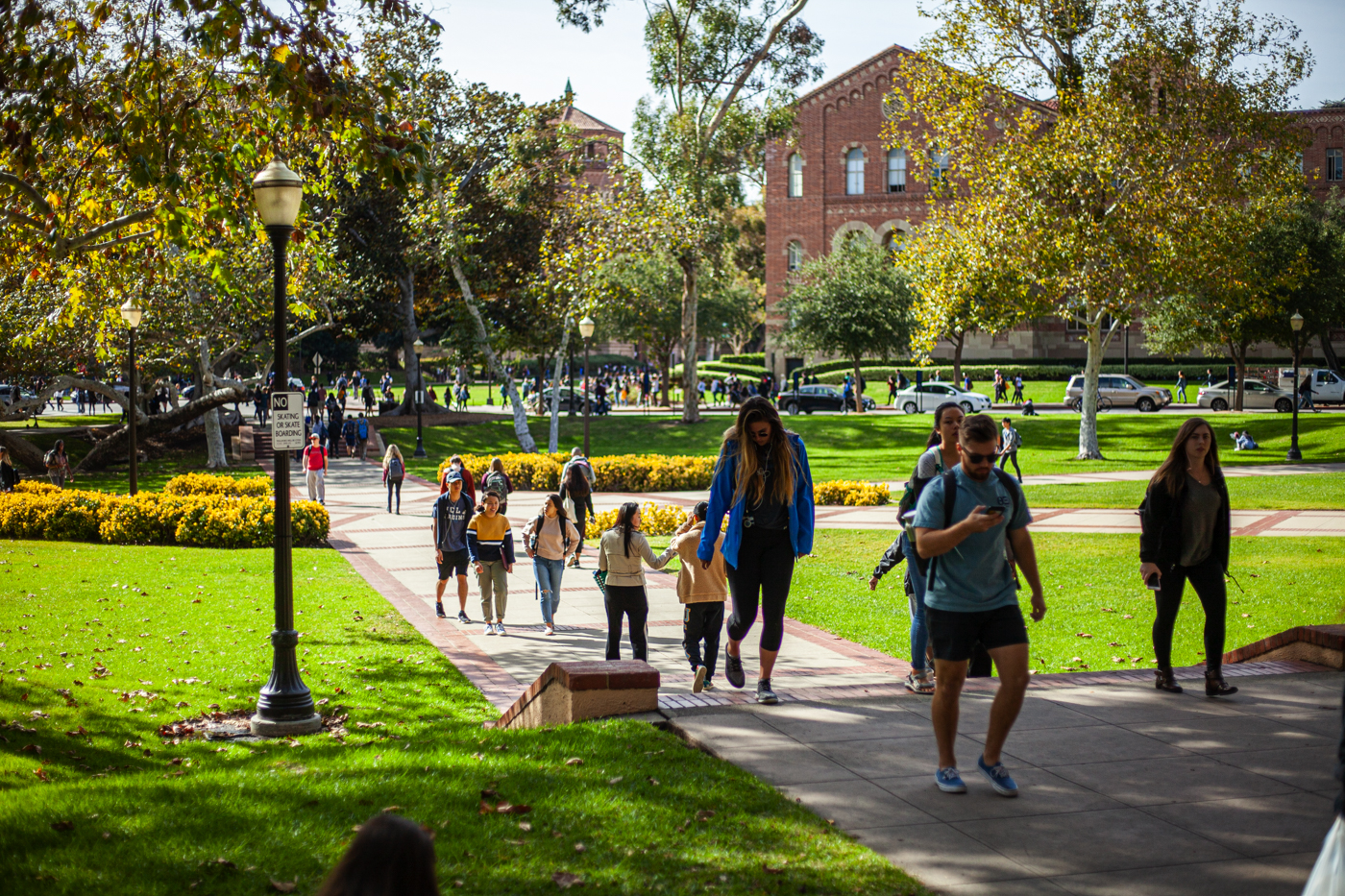 Federal official claims Trump administration intends to sue UC for discrimination - Daily Bruin