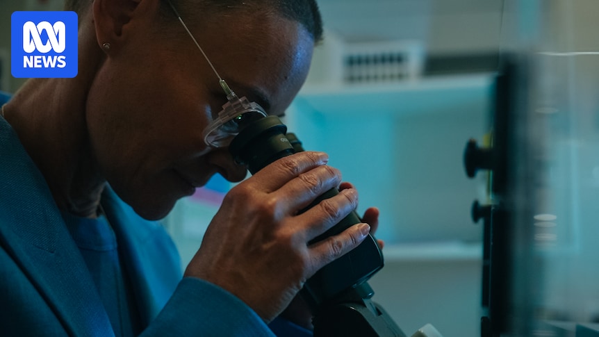 Murder trials held up by critical shortage of forensic pathologists
