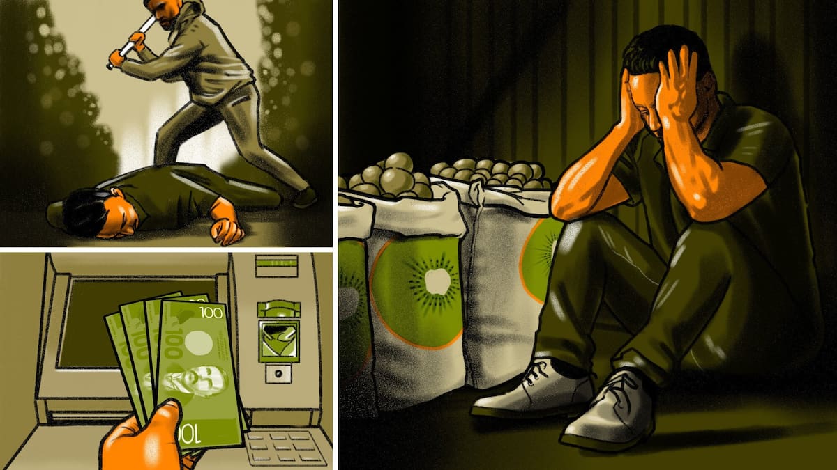 New witness in Kiwifruit scam: $10m went through student’s accounts in 6 months