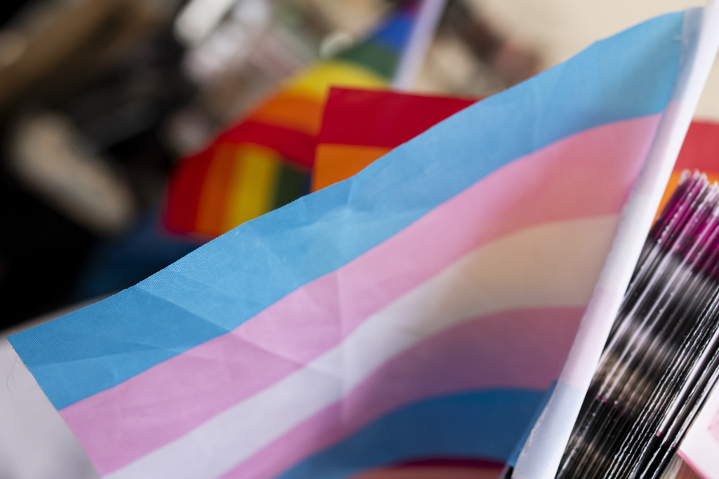 Trans rights law draws second legal challenge