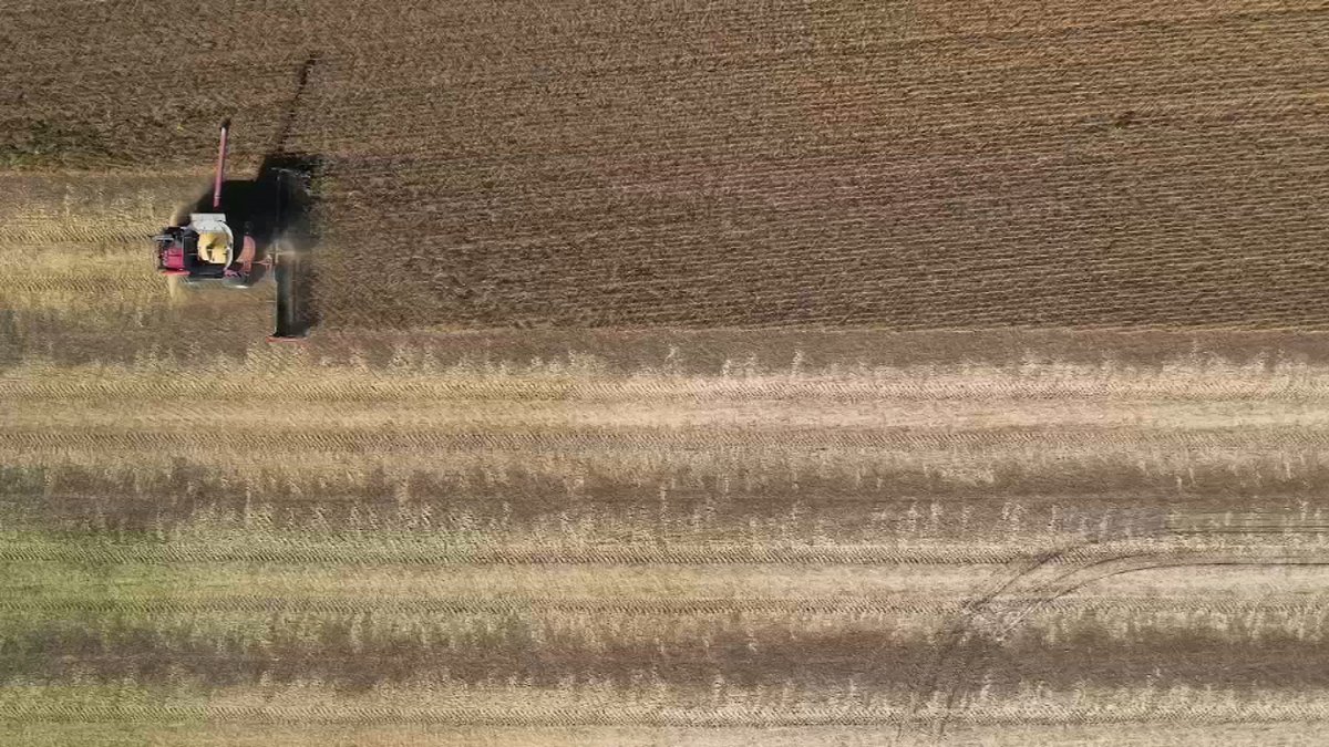 Agro-terrorism a growing threat after 2 Chinese nationals charged