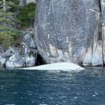 At Least 6 Dead and 2 Missing After Boat Capsizes on Lake Tahoe amid Strong Winds