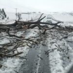At least 49 people have died in flooding in South Africa with toll expected to rise, officials say - Daily Sitka Sentinel