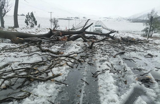 At least 49 people have died in flooding in South Africa with toll expected to rise, officials say – Daily Sitka Sentinel