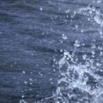 Body of final missing victim recovered in Lake Tahoe boat capsizing