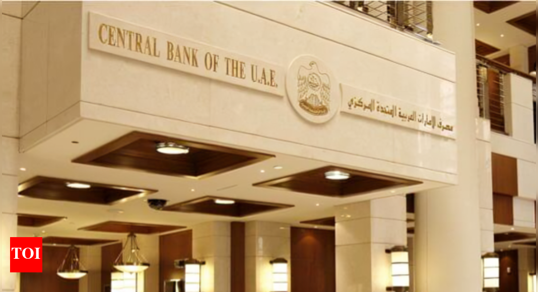 Dh339 million in fines as UAE launches major money laundering crackdown | World News – Times of India