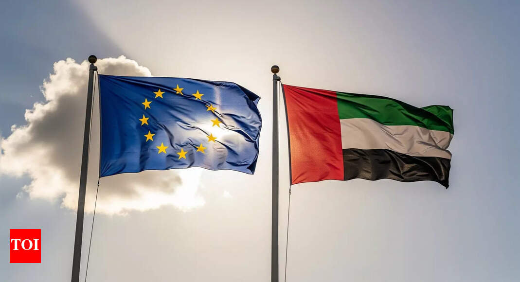 European Union removes UAE from money laundering high-risk list | World News - Times of India
