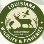 Former head of LDWF pleads not guilty to money laundering, conspiracy charges