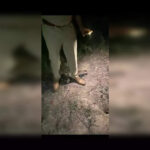 Gangster injured in police encounter near Mohali SSP office | Chandigarh News - Times of India