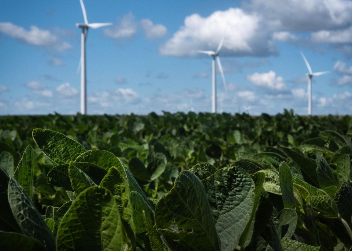 Iowa Rep. Introduces New Agro-Terrorism Bill