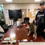 K9 drug bust last day before retiring