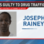 Macon man pleas guilty to RICO and drug trafficking charges in Houston County