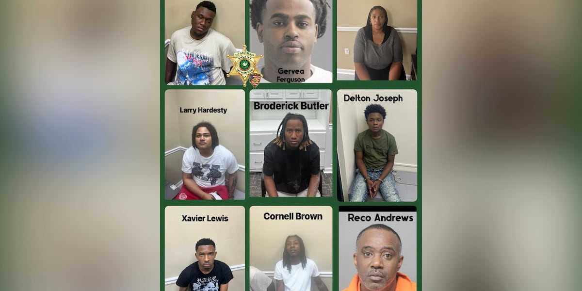 Over a dozen alleged gang members arrested, accused of being involved in ‘numerous’ local shootings