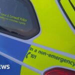 Perranporth teenager arrested on suspicion of terrorism bailed