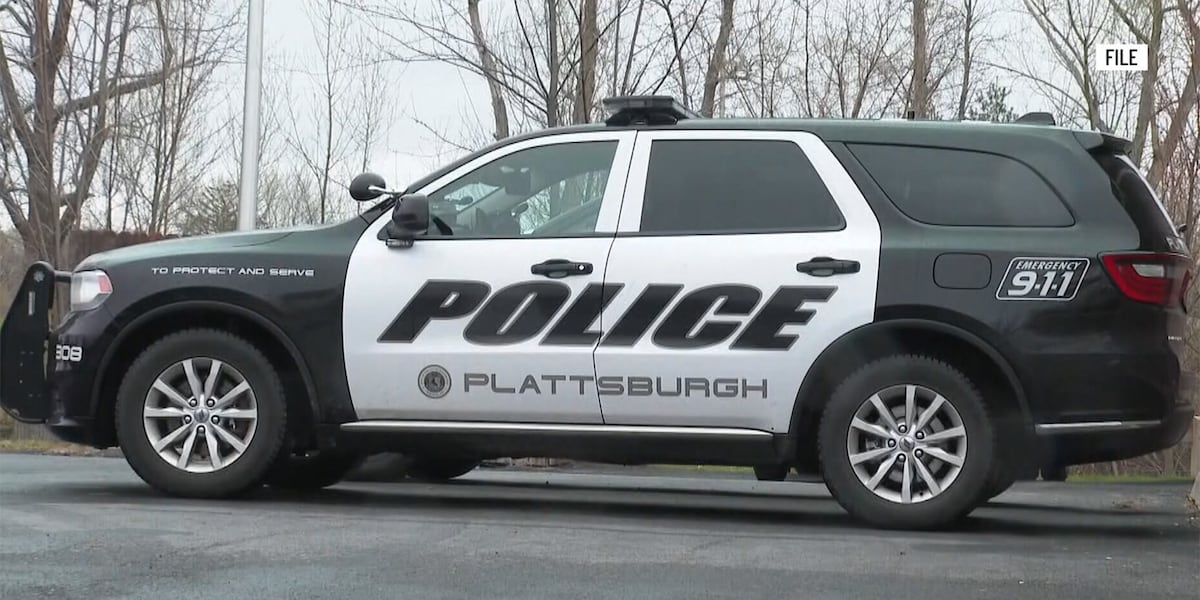 Results of investigation into alleged police corruption, fraud won’t be released