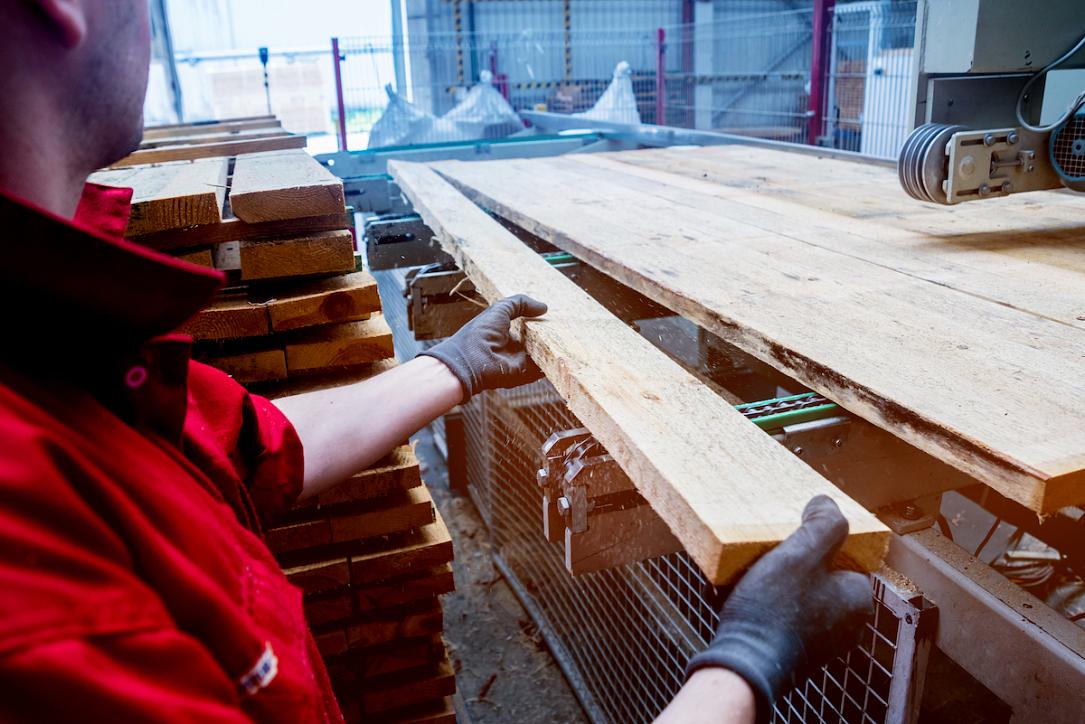 Romanian furniture manufacturer Taparo faces bankruptcy after halting operations