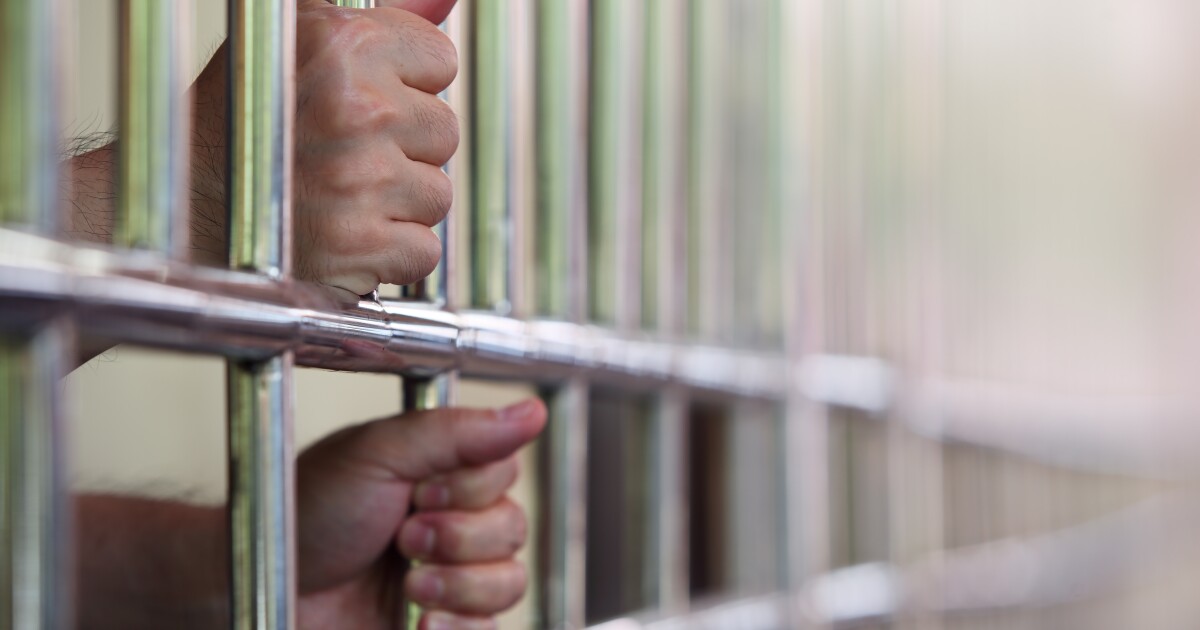 Tax Fraud Blotter: Sick excuses