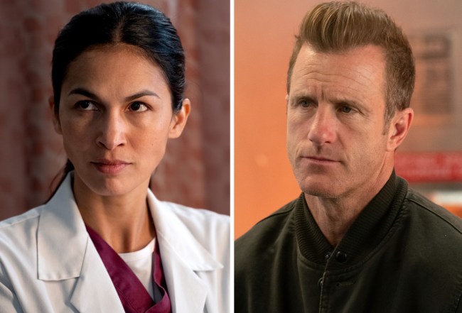 The Cleaning Lady, Alert: Missing Persons Unit Both Cancelled at Fox