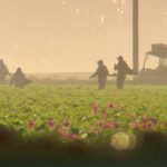 Trump vows changes to immigration crackdown to protect farmers, hotel workers