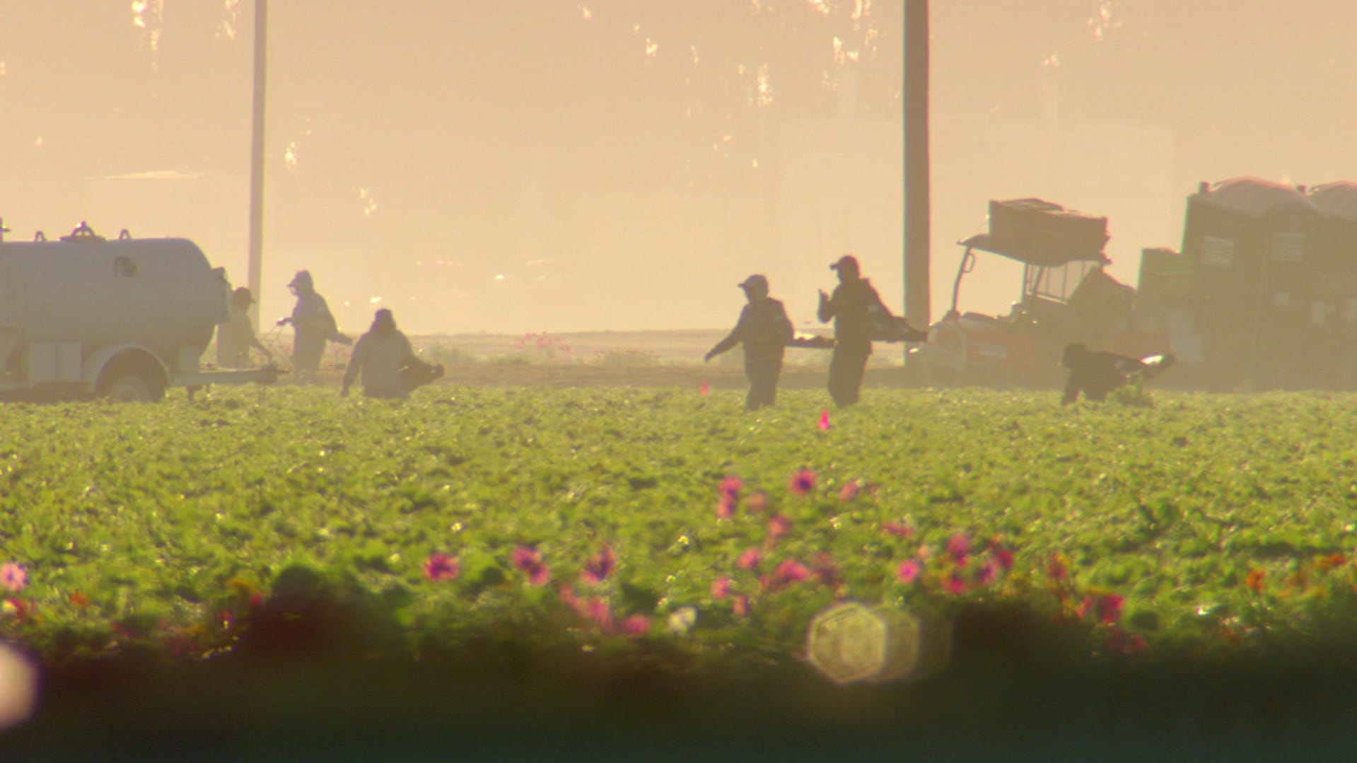Trump vows changes to immigration crackdown to protect farmers, hotel workers