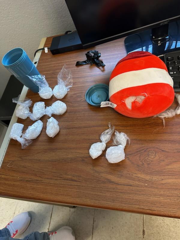 Two Willow Springs Residents Charged with Drug Trafficking After Receiving Narcotics in a FedEx Package - Ozark Radio News