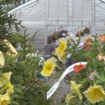 Vt.-based Gardener’s Supply files for bankruptcy