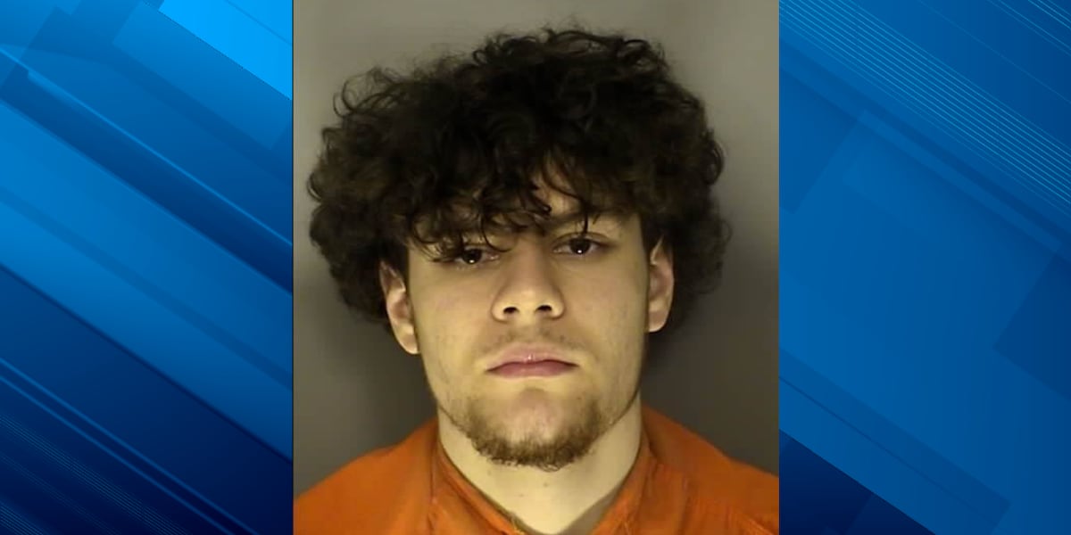 Warrants: Horry County teen conspired to join terrorist group, create bombs